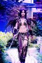 Night Elf 1.jpeg