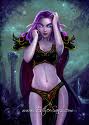 Night Elf 4.jpeg